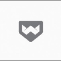 Wizz-flat-logo-design